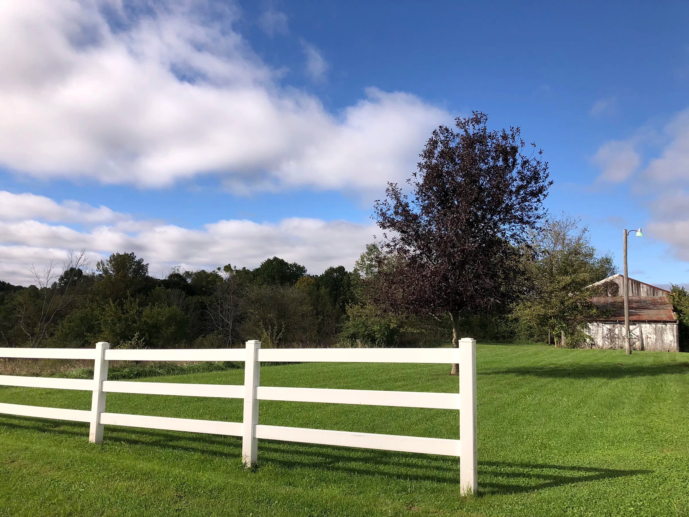 REAL ESTATE AUCTION REAL ESTATE AUCTION 20+/ ACRES OFFERED IN 1